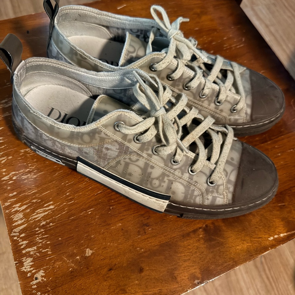 Dior B23 low top oblique